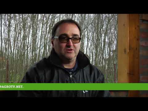 Reč struke ep. 159 06.03.2018. - Uzgoj lešnika