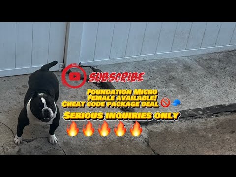 Opportunity Knocks,who’s trying to Level Up?