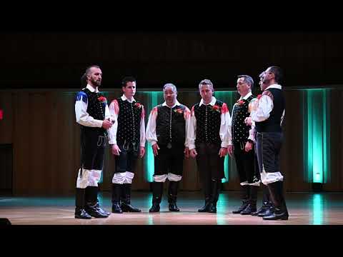 Oktet In spiritu - Lastovki v slovo