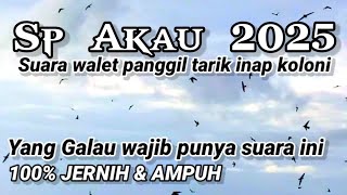 Download lagu SP AKAU 2025. Suara walet panggil tarik inap koloni mp3 Download lagu SP AKAU 2025. Suara walet panggil tarik inap koloni mp3