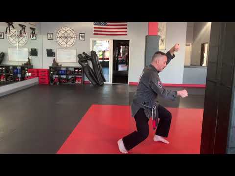 SASDA - Short Form 2