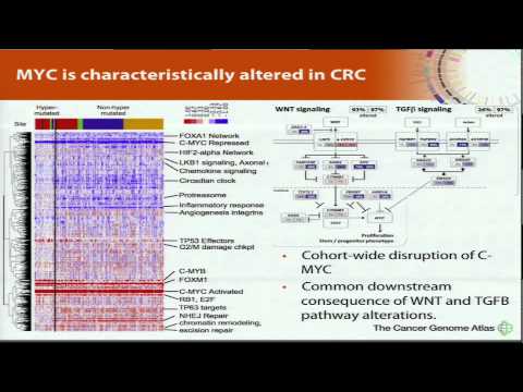 Patient-Specific Pathway Analysis Using PARADIGM Identifies Key Activities... - Josh Stuart