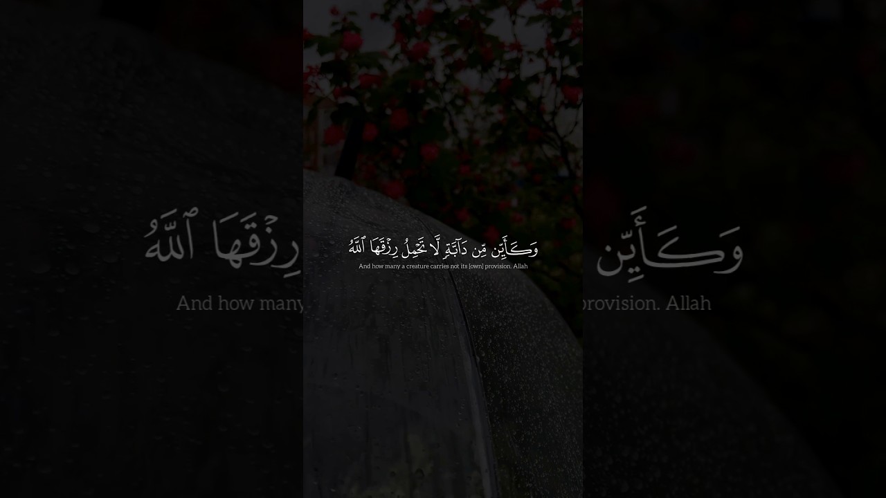 "تلاوة تريح قلبك.. الله يرزقك ويرزقها! بصوت القارئ عبد الرحمن مسعد ✨🌧️"