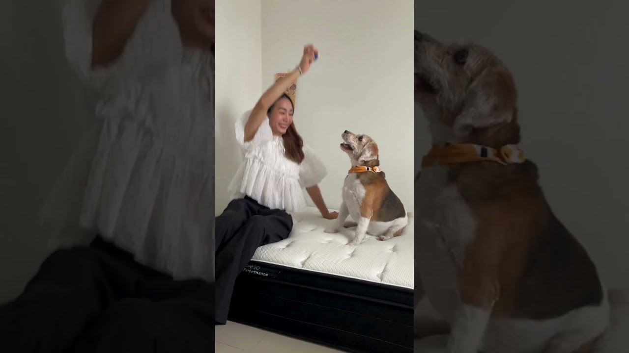 ใครนอนก็ติดใจ เพราะที่นอน MORNING M6 UltraMax นอนสบายกว่า