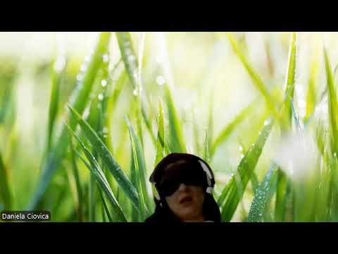 HIPNOZA REGRESIVA.RO361 Vasile, aspectul unchiului, implant de memorie, sexualitate toxica