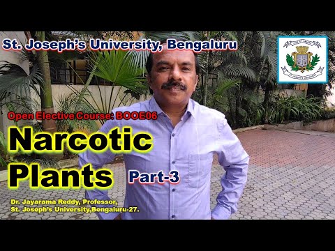 Narcotics Drugs Opium Heroin Cannabis LSD Hashish Morphine Cocaine Marijuana Ganja Bhang1