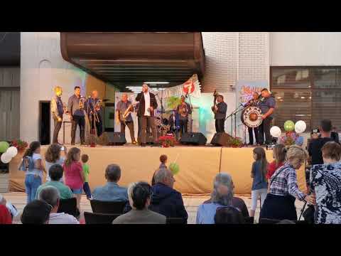 DAR MAR I NIKOLA PETRACKOVIC - SA TIMOKA GRME TRUBE