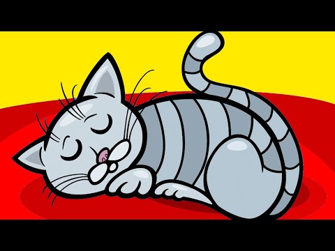 Why Cats Love Sleeping On Your Bed!