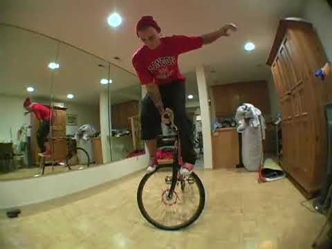 steven jensen fixed | 2010