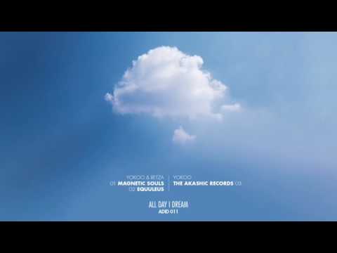 YokoO - The Akashic Records [ADID011]