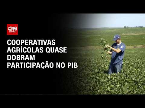 Cooperativas agrícolas quase dobram participação no PIB do agronegócio | CNN AGRO NEWS
