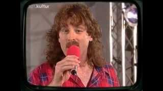 Wolfgang Petry - Sommer in der Stadt - Sommerhitparade-ZDF - 1996