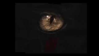 SD - "Remember" (feat. Gino Marley) [Official Audio]