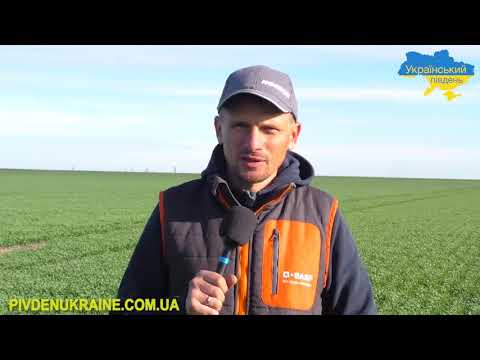 Поля «Злато Таврії» підживили водоростями ТОВ НВП "5 Елемент"