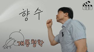 향수