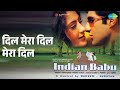 दिल मेरा दिल मेरा दिल Indian Babu Kumar Sanu Songs Gurleen Chopra 