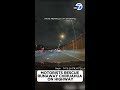 Motorists Rescue Runaway Chihuahua On Busy Highway