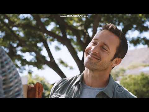 Steve McGarrett - Main attraction