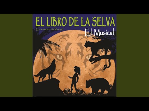 download lagu mp3 mp4 Larocadelconsejo, download lagu Larocadelconsejo gratis, unduh video klip Larocadelconsejo