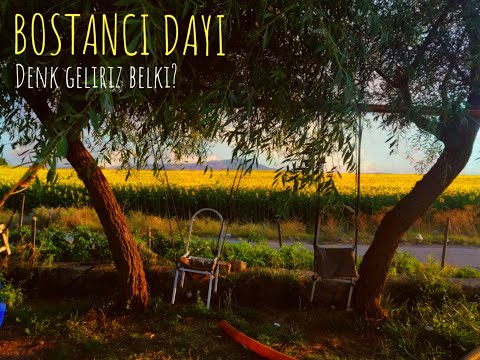Denk Geliriz Belki - Bostancı Dayı