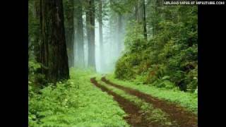 Cheer Chen - The meaning of travel