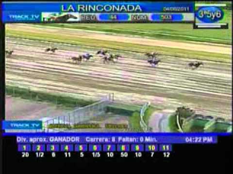 Resumen Sábado, 04 de Junio de 2011 - La Rinconada