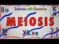 Meiosis for healthcare students