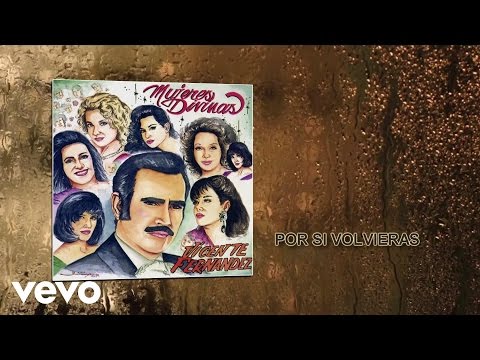 Vicente Fernández - Por Si Volvieras (Audio)