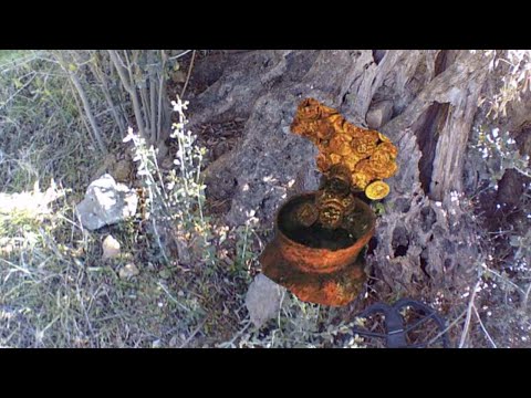 ağacın içindeki gizemli define !!!