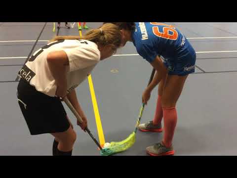 Vinga F03/04 - Älvstranden F05/06, period 3 (Innebandy / Floorball)