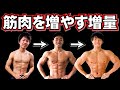 【普通のトレーニー向け】筋肉を増やす増量【バルクアップ】