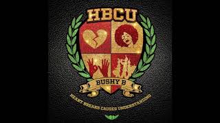 Bushy B - Don't Miss Out (Money Man)