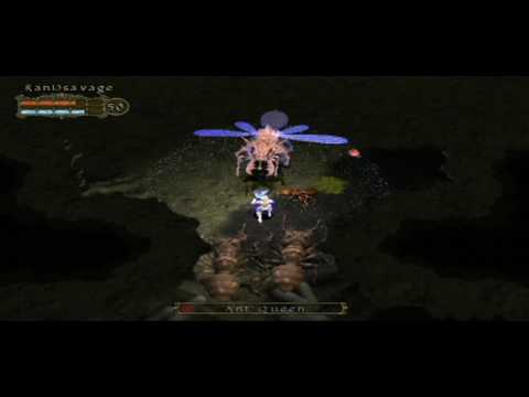 Ranger Boss Farming #3 The Ant Queen - Champions of Norrath