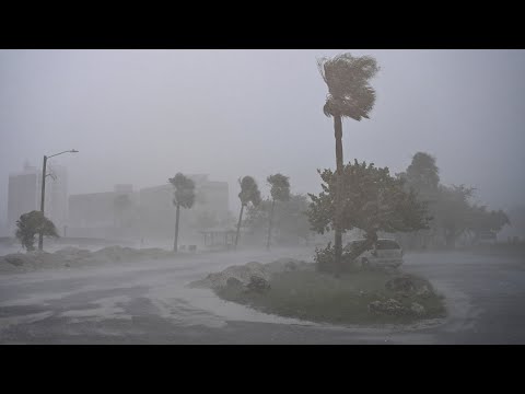 Wellness Checks and A New Storm Coming