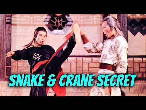 Wu Tang Collection - Snake and Crane Secret (Subtitulado en Español)