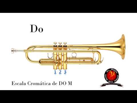 Escala Cromática de DO Mayor, para Trompeta.