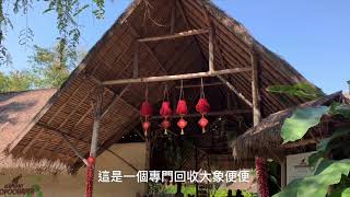 大象環保紙世界 大象便便紙製作（詳細旁白字幕介紹）