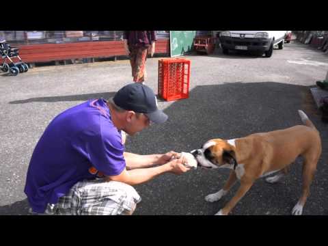 Jymyn iholla (osa 18) - Ihmisen paras ystävä