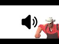 Slap A Poultice On That Doc Engineer Voice Lines