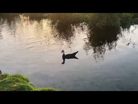 The beauty of nature