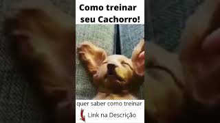 Fofos e Adorveis #Shorts