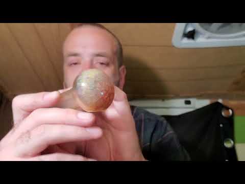 Stiiizy Banana Creme Cake Strain Review