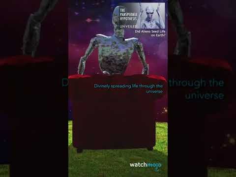 宇宙に関するあらゆる疑問の答えが明らかに #shorts (Every Answer To Every Question About The Universe UNVEILED #shorts)