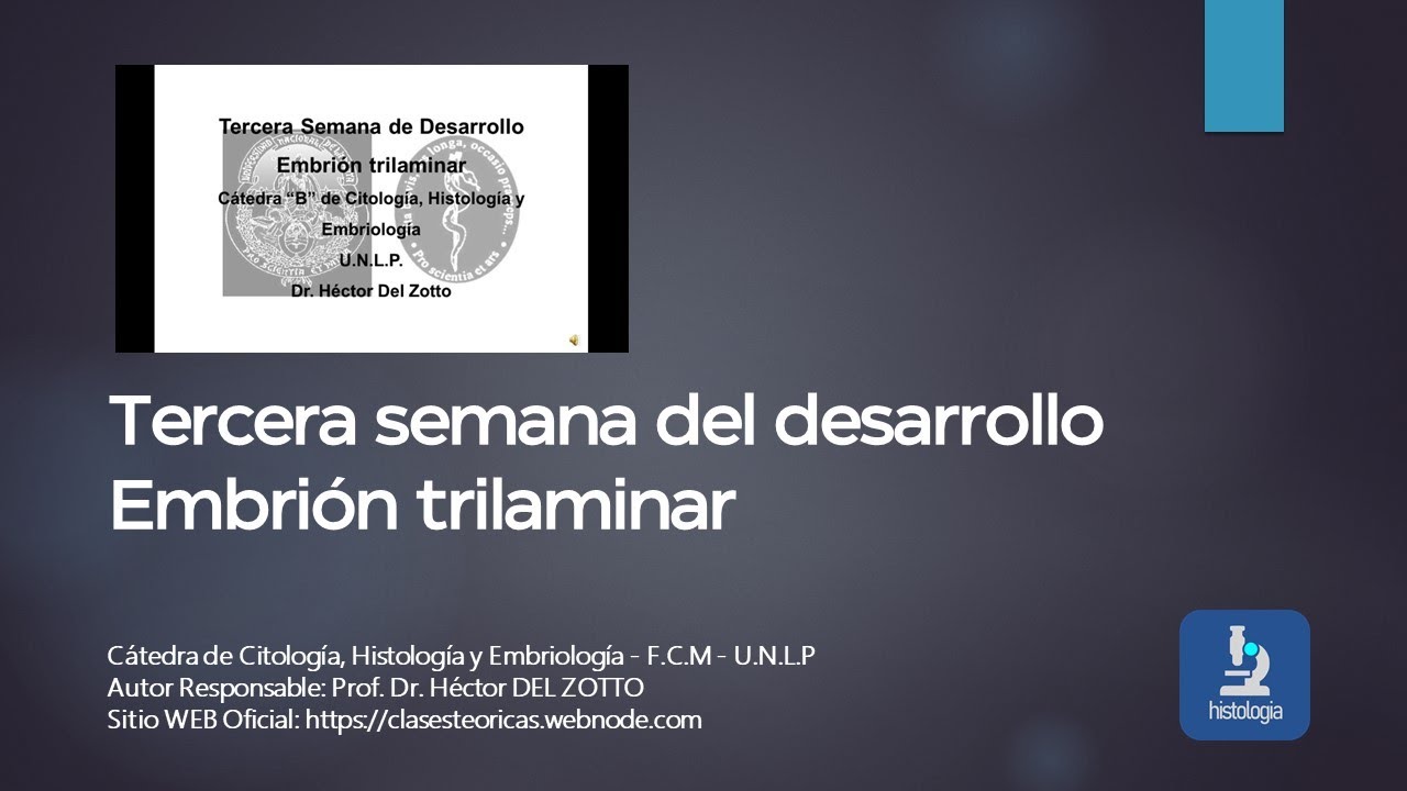 EMBRIÓN TRILAMINAR - GASTRULACIÓN