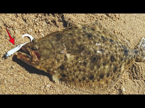 New Gulp Grub is DEADLY on Flounder - 2023 Fluke Season Off to a Great Start + Gulp Hacks!