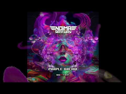Noima Raveway - Purple Orchid