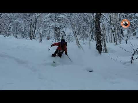 Furano Powder Day!