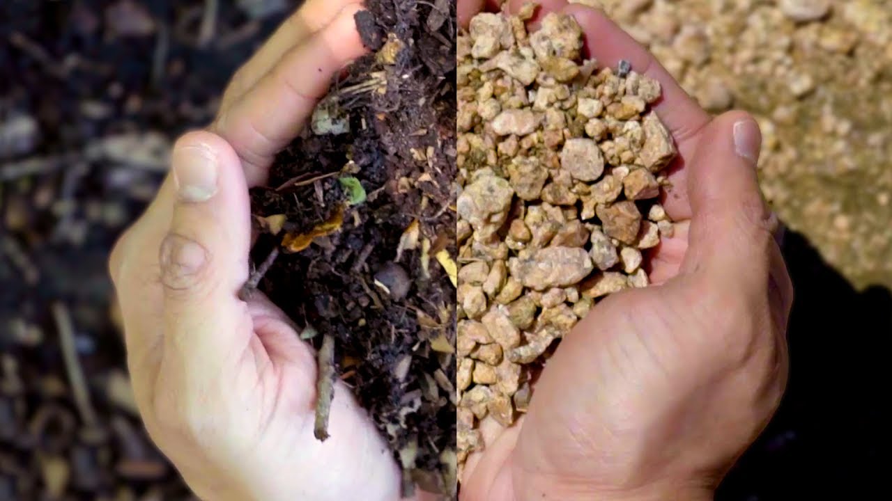 Our Commitment to Protecting the Environment