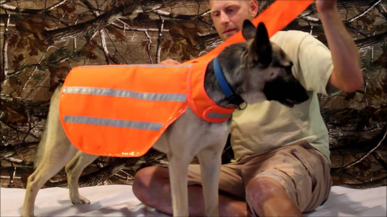 Watch video DOGonGEAR WATERPROOF REFLECTIVE DOG HUNTING JACKET Now DOGonGEAR WATERPROOF REFLECTIVE DOG HUNTING JACKET