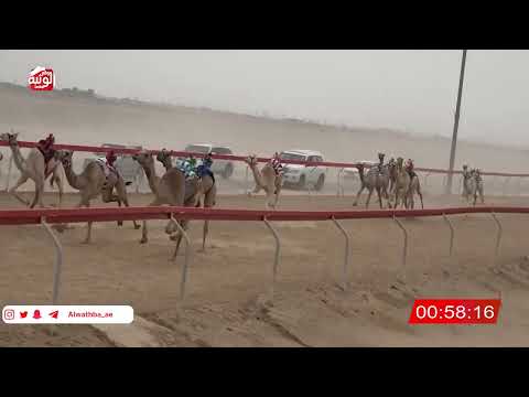  ش 9 (الشاهينيه) لـ حمد سالم بن دري الفلاحي 2:07 , شارة الصندوق 2026/04/04 فطامين سويحان